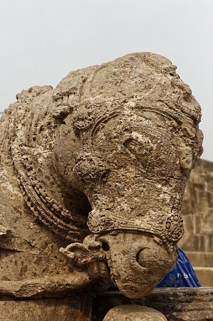 Konarak-Temple du soleil-046